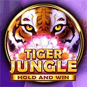 Biểu đồ minh họa tỷ lệ RTP của slot game, giải thích cách nó ảnh hưởng đến cơ hội thắng tại x8.